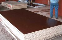 Quy Trình Sản Xuất Ván Ép Cốp Pha Phủ Phim