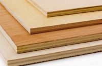 Ván Ép Coppha Có Ưu Điểm Vượt Trội Gì?