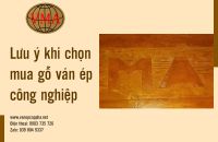 Lưu ý khi chọn mua gỗ ván ép công nghiệp