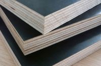 3 Đặc Điểm Nổi Bật Của Ván Ép Coppha Phủ Phim Tại Việt Mỹ Anh