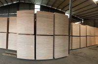 Tiêu Chí Chọn Cửa Hàng Bán Ván Ép Coppha Uy Tín Như Thế Nào?