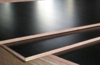 Cách Lựa Chọn Ván Coppha Phủ Phim Tốt