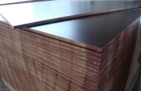 Một Số Điều Cần Biết Về Sản Xuất Coppha – Coppha Phủ Phim