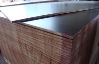 Những Công Dụng Ít Ai Biết Của Ván Ép Coppha Phủ Phim