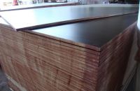 Quy Trình Láp Đặt Ván Ép Coppha