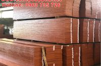 Những cách sử dụng và bảo quản ván ép coppha phủ phim tốt nhất