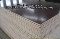 Ván ép coppha cao cấp | Đặc điểm của ván ép coppha trong xây dựng